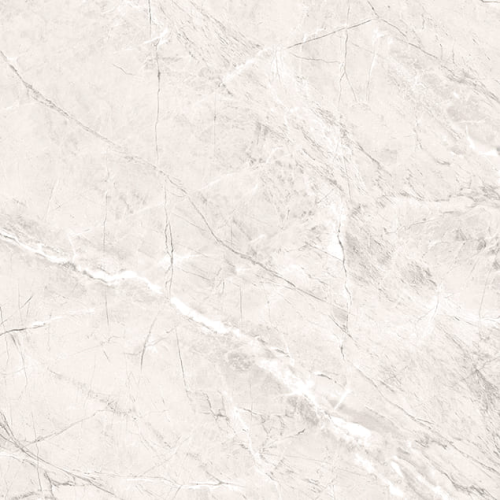 Керамогранит Primavera Пантир TP66M17 60x60