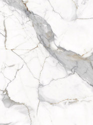 Керамогранит Primavera Maverick White Carving CR207 60x120