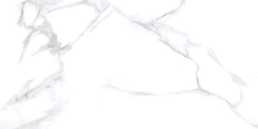 Керамогранит Neodom N20531 Classic Marble Statuario Chic Polished 60x120