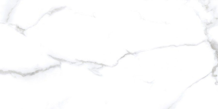 Керамогранит Neodom N20531 Classic Marble Statuario Chic Polished 60x120