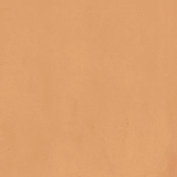 Керамогранитa Sant Agostino Vita Cotto Mat 20x20