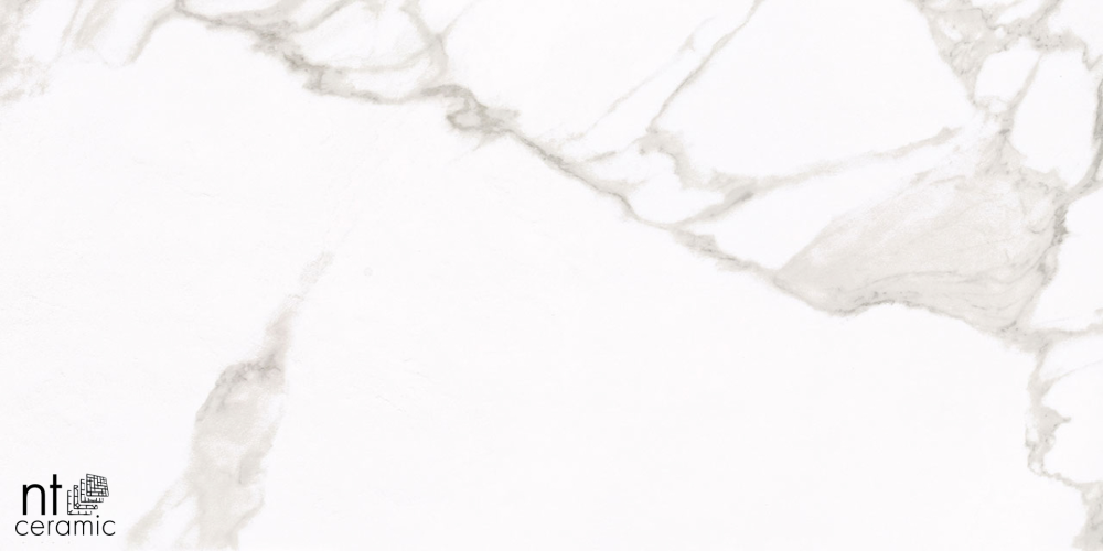 Керамогранит NT Ceramic NTT1001 60х120