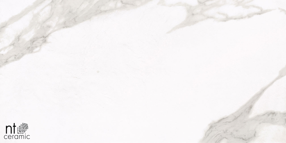 Керамогранит NT Ceramic NTT1001 60х120
