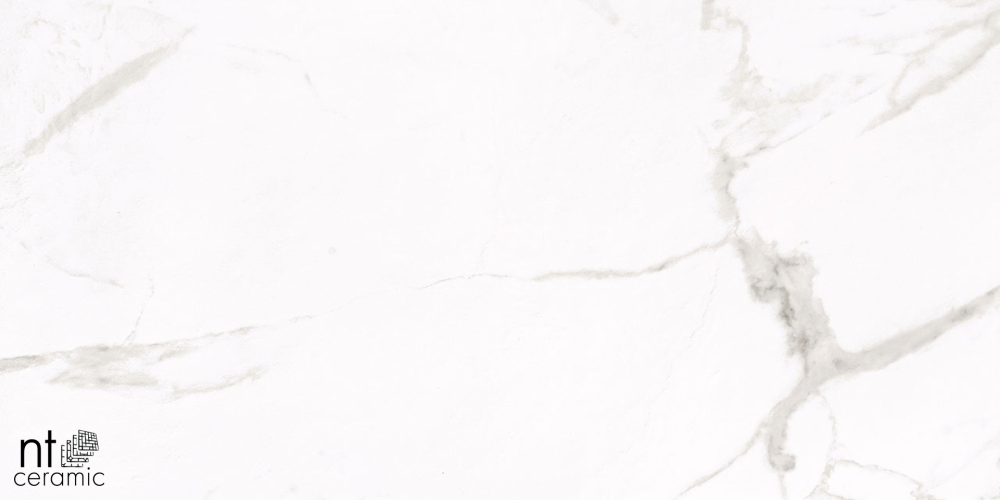 Керамогранит NT Ceramic NTT1001 60х120