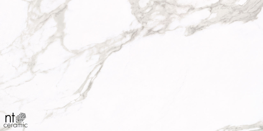 Керамогранит NT Ceramic NTT1001 60х120