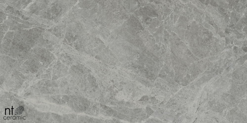 Керамогранит NT Ceramic NTT9119M Tundra Grey mat 60x120