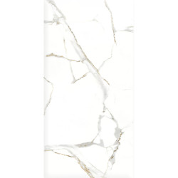 Керамогранит Duna RP-144415 Satvario Gold Satin 120x60