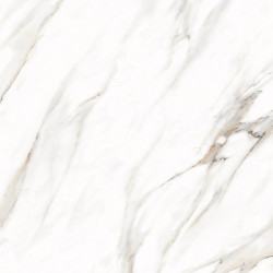 Керамогранит Primavera Ayton Brown Polished PR128 60x60