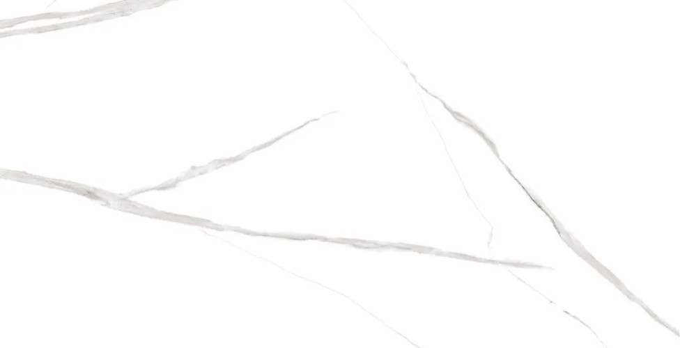 Керамогранит Dogma NEO126001 Project Antibacterial Calacatta Levigato 60x120