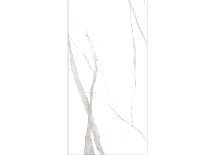 Керамогранит Dogma NEO126001 Project Antibacterial Calacatta Levigato 60x120