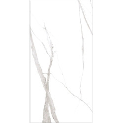 Керамогранит Dogma NEO126001 Project Antibacterial Calacatta Levigato 60x120