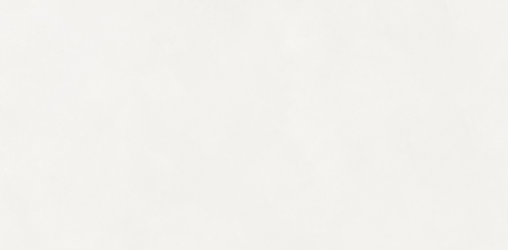 Керамогранит Neodom N110011 Loft Aston White Matt 60x120