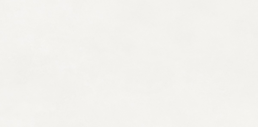 Керамогранит Neodom N110011 Loft Aston White Matt 60x120