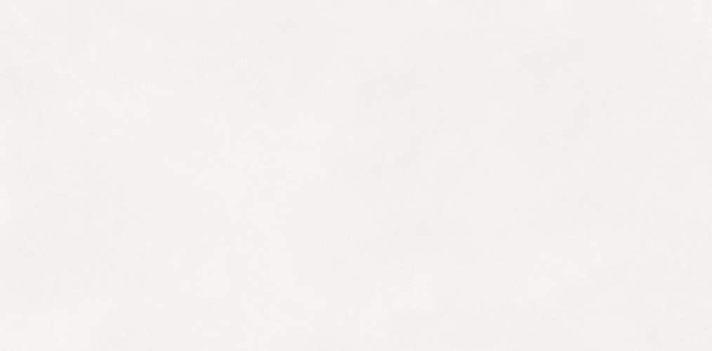 Керамогранит Neodom N110011 Loft Aston White Matt 60x120