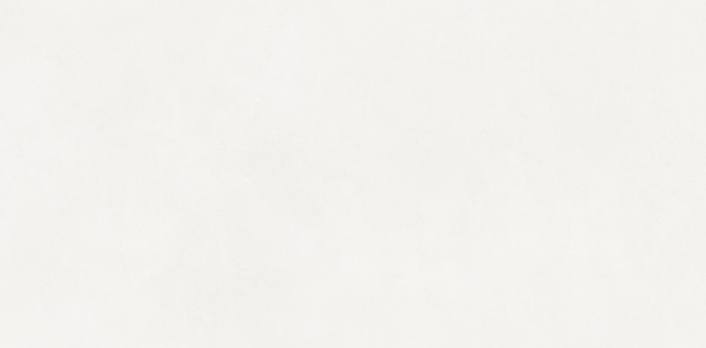 Керамогранит Neodom N110011 Loft Aston White Matt 60x120