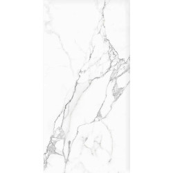 Керамогранит NT Ceramic NTT9125M Statuario Infinity 60x120