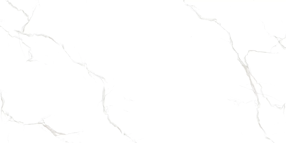 Керамогранит Duna RP-203102 Sisam White Glossy 60x120