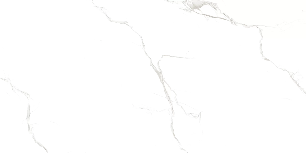 Керамогранит Duna RP-203102 Sisam White Glossy 60x120