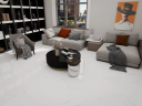 Керамогранит Duna RP-203102 Sisam White Glossy 60x120