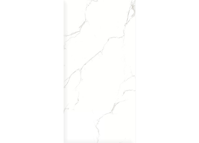 Керамогранит Duna RP-203102 Sisam White Glossy 60x120