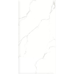 Керамогранит Duna RP-203102 Sisam White Glossy 60x120