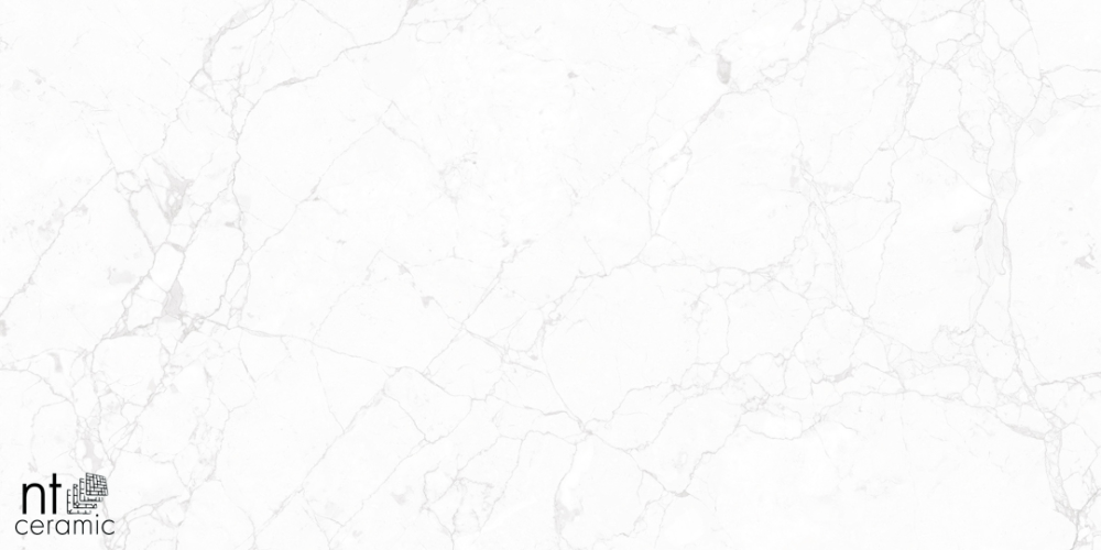 Керамогранит NT Ceramic NTT99518M Impero Carving 60х120