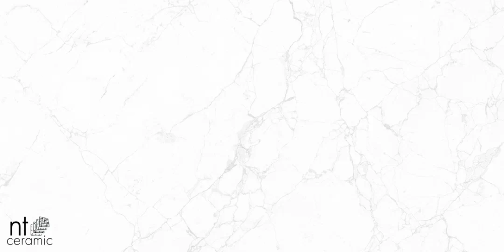 Керамогранит NT Ceramic NTT99518M Impero Carving 60х120