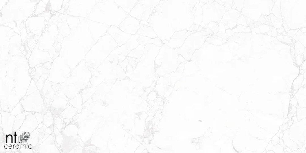 Керамогранит NT Ceramic NTT99518M Impero Carving 60х120