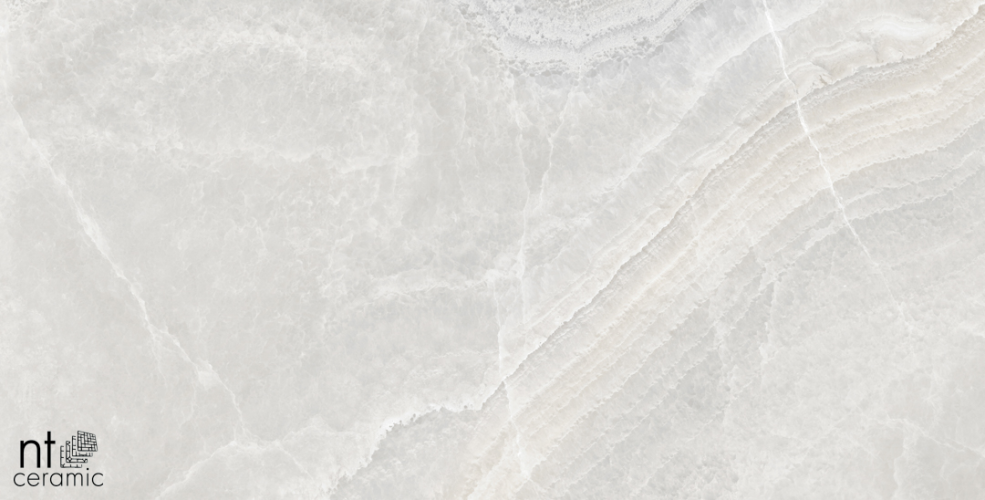 Керамогранит NT Ceramic NTT99502P Onyx Frazil Ice 60x120