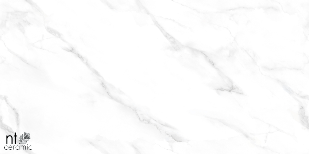 Керамогранит NT Ceramic NTT99506P Statuario Endless 60х120