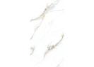 Керамогранит NT Ceramic NTT3002P Calacatta Gold 120x240