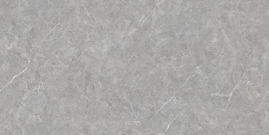 Керамогранит Neodom N20445 Sale Mica Grigio TM 80x160