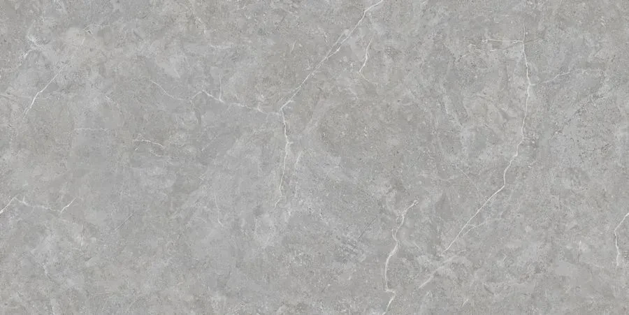 Керамогранит Neodom N20445 Sale Mica Grigio TM 80x160