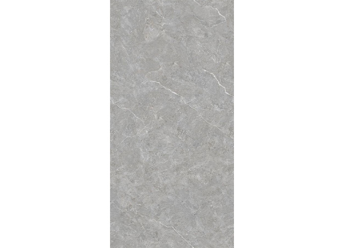 Керамогранит Neodom N20445 Sale Mica Grigio TM 80x160