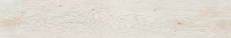 Керамогранитa Sant Agostino CSAPRWWT20 Primewood White 20x120