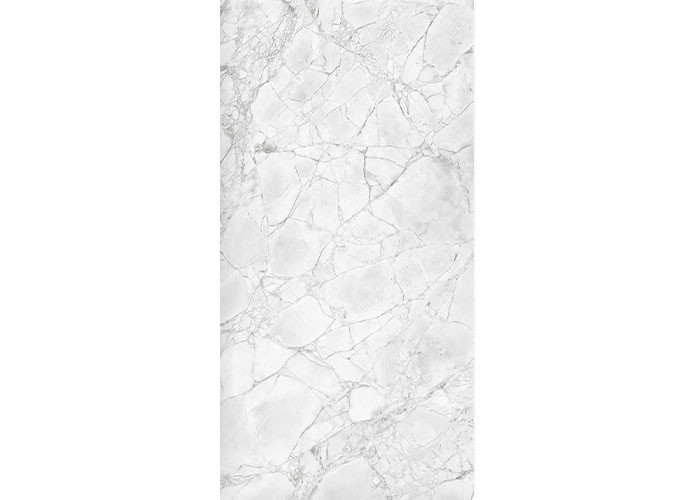Керамогранит NT Ceramic NTTHS99807D Infinity Glacier Map 4D 60x120