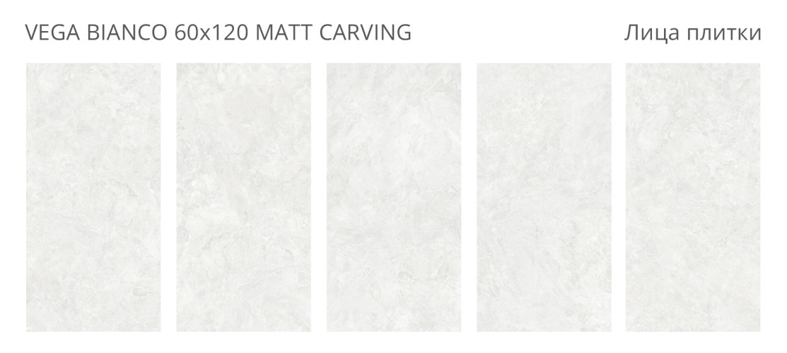 Vega Bianco Matt Carving 60x120 — фото 2