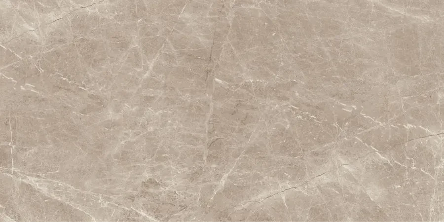 Керамогранит Neodom N20460 Sale Frappuchino Taupe Polished 80x160