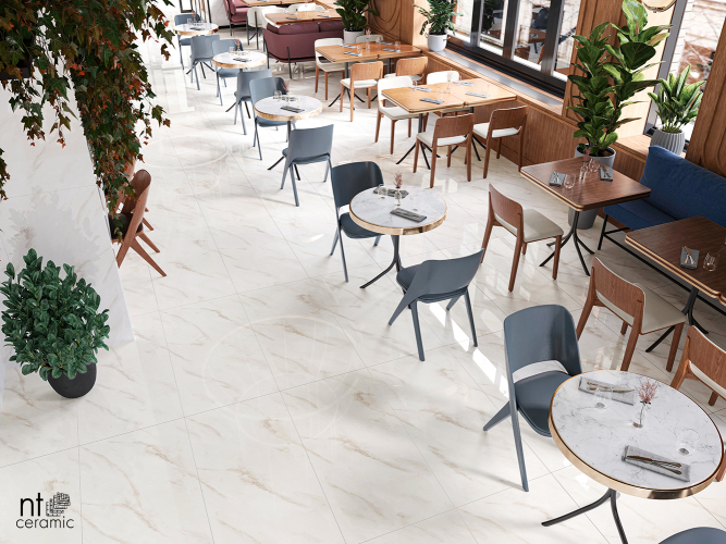 Керамогранит NT Ceramic NTT99525P Empire Pearl Endless 60х120