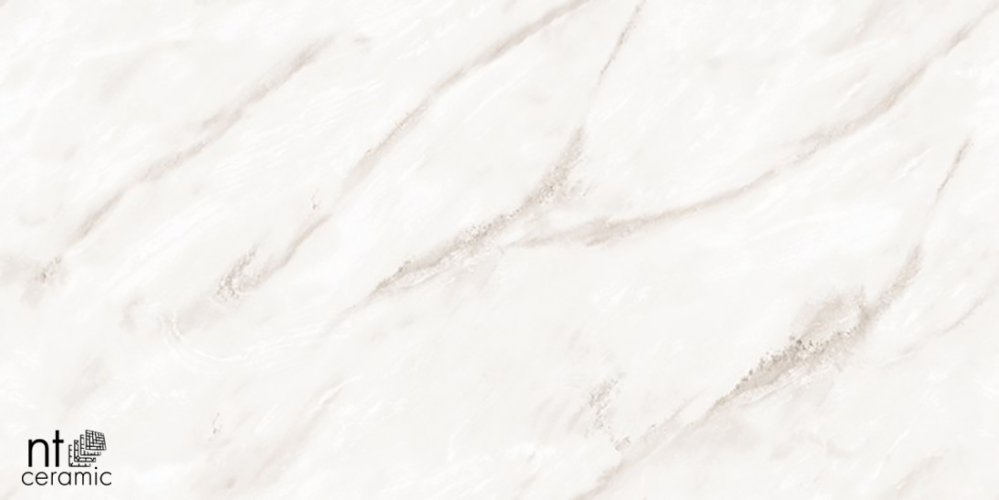 Керамогранит NT Ceramic NTT99525P Empire Pearl Endless 60х120