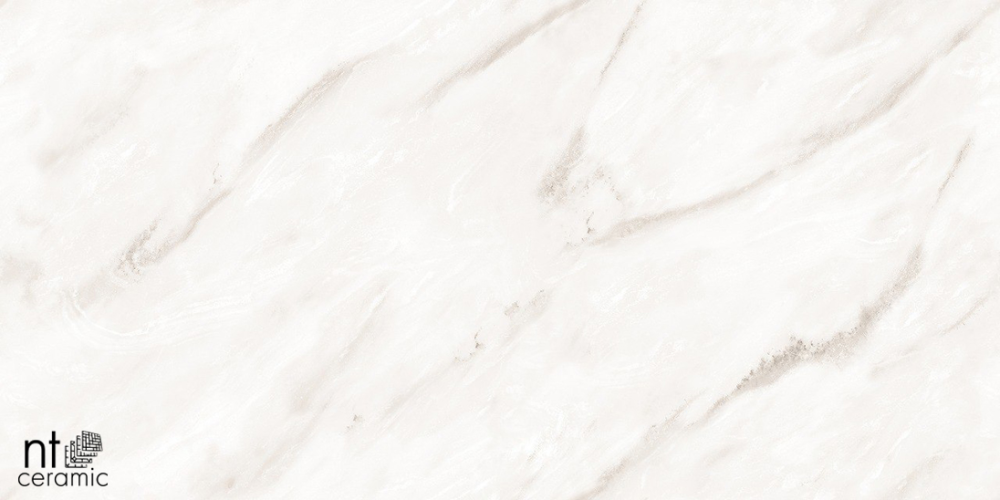 Керамогранит NT Ceramic NTT99525P Empire Pearl Endless 60х120