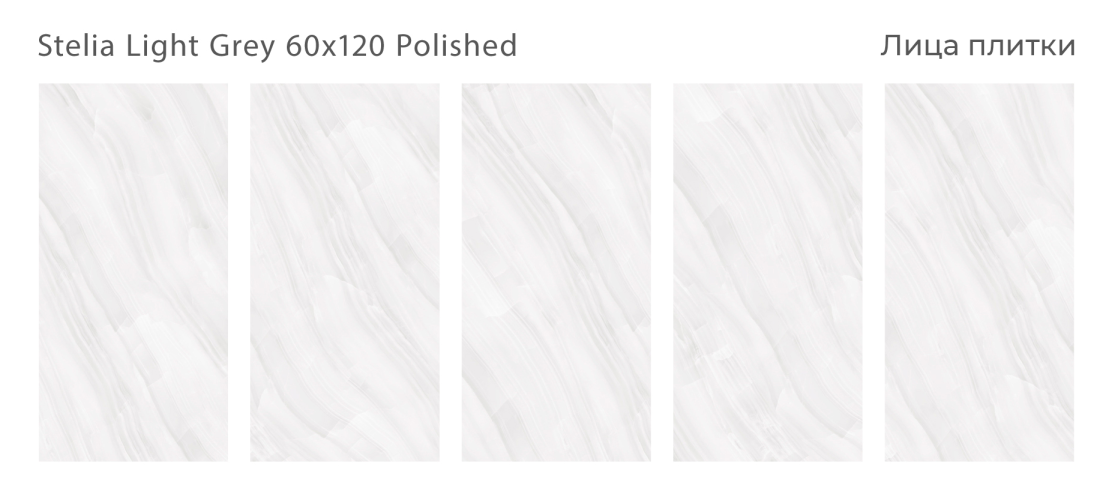 Керамогранит Staro Palacio Stelia Light Grey Polished 60x120