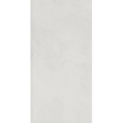 Керамогранит Ceradim SG50001020R Эволюшн Бланко матовый 59,5х119,1