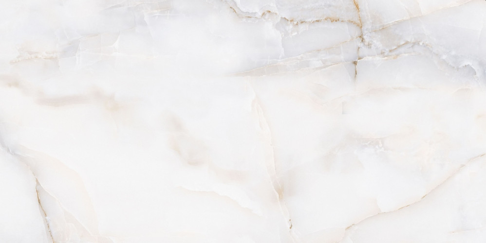 Керамогранит Neodom CV20191 Onyx White Polished 60x120