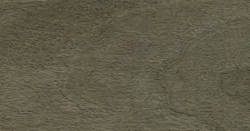 Керамогранит Coliseumgres 610010004069 Bormio Pepper Ret 20x120