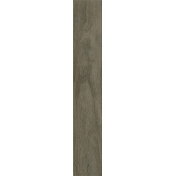 Керамогранит Coliseum 610010004069 Bormio Pepper Ret 20x120