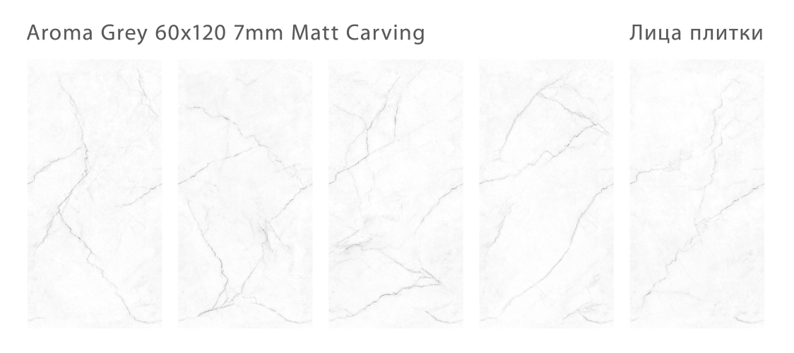 Керамогранит Staro Rizzi Aroma Grey Matt Carving 60x120