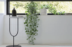 Керамическая плитка Cifre Blanco Brillo 10x10