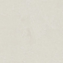 Керамогранит Atlas Concorde Russia 600180000055 Rinascente Resin White Matt Rett 120x278