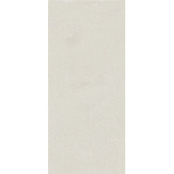 Керамогранит Atlas Concorde Russia 600180000055 Rinascente Resin White Matt Rett 120x278